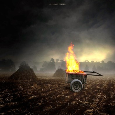 wild_life_by_bigfoot112-d34ppw0 3