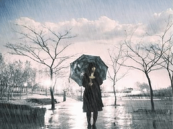 Paisajes de lluvia (51)