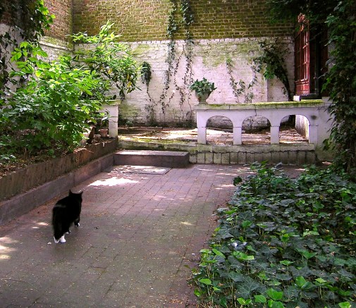 OLYMPUS DIGITAL CAMERA