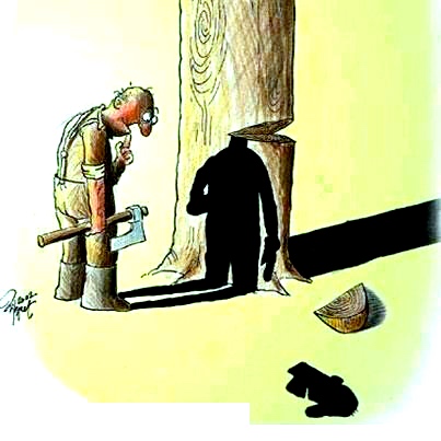 De-Boomdokter-bijzondere-bomen-58a