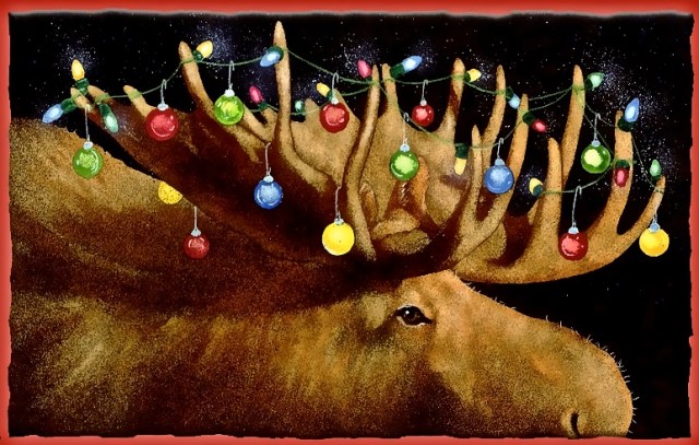 a-christmas-moose-will-bullas