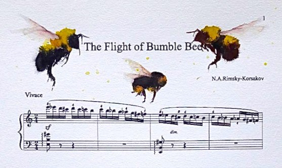 3149654-TFHJXMPA-7 2