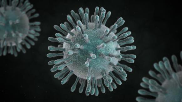 coronavirus