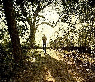 bianca-van-der-werf,afternoon-delight,shadow-man-cracked-clay-bianca-reflection-cracks-barsten-oker-graphicmaster-memories-book-supershot-earth-asia-fiatlux