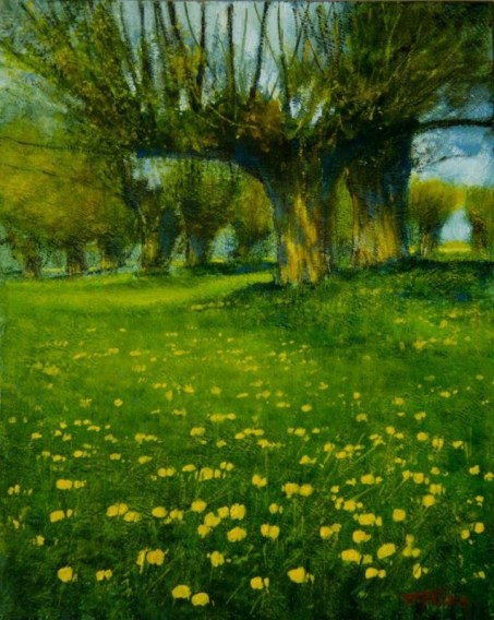 Tadeusz_gazda_5_wierzby_latem